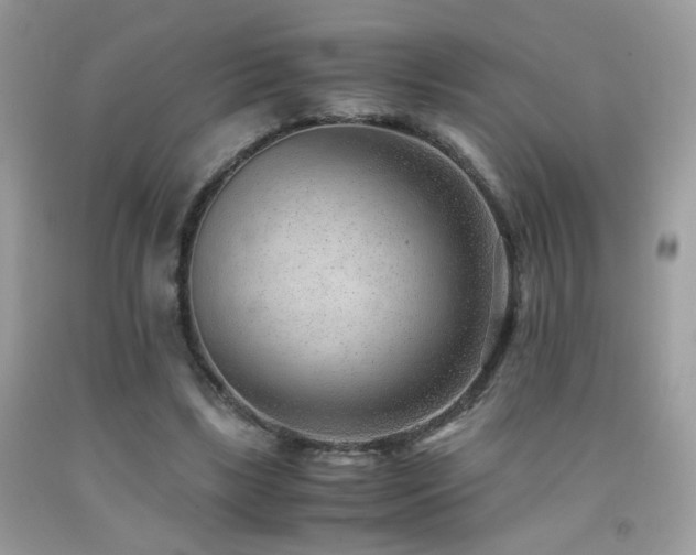 X0000091920443200709051444