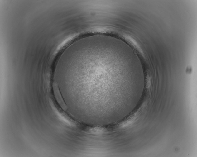 X0000091920444200709051444