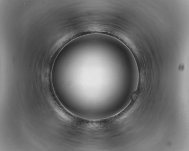 X0000091920445200709051444