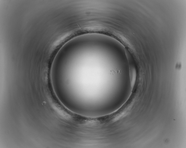 X0000091920446200709051444