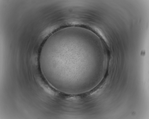 X0000091920447200709051444
