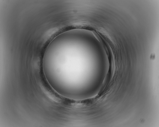 X0000091920448200709051444