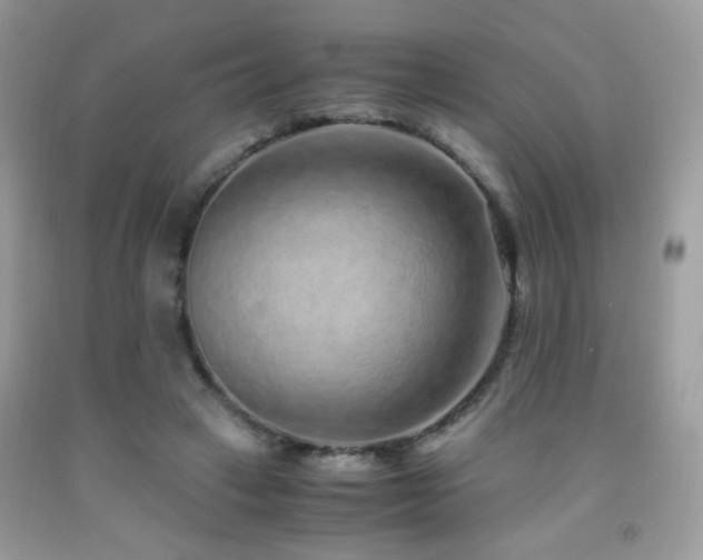 X0000091920449200709051444