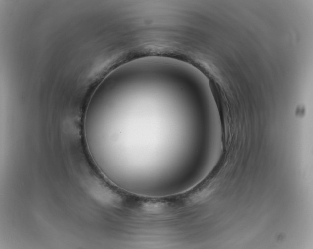 X0000091920450200709051444