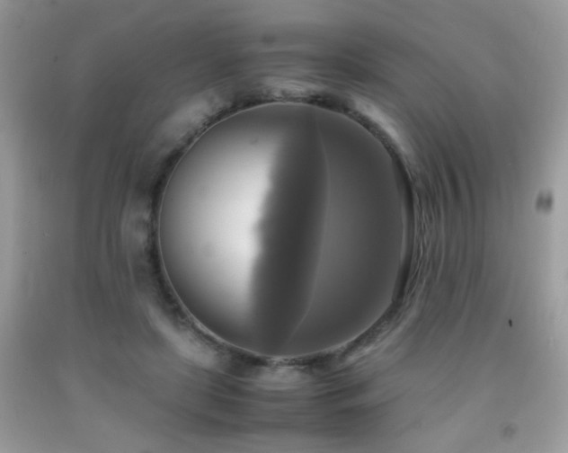 X0000091920451200709051444