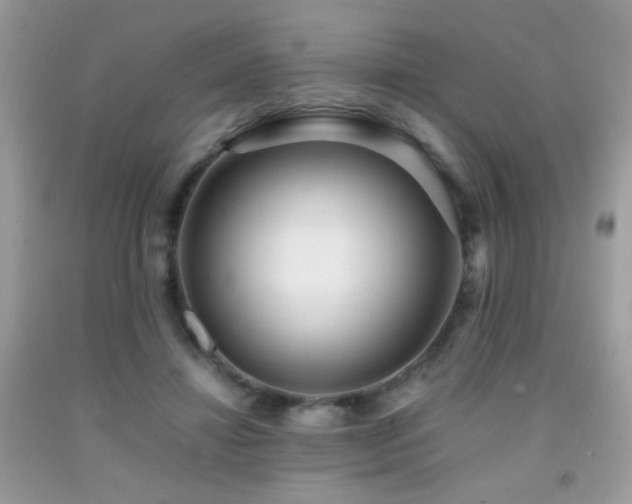X0000091920452200709051444