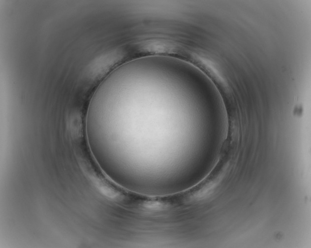 X0000091920453200709051444
