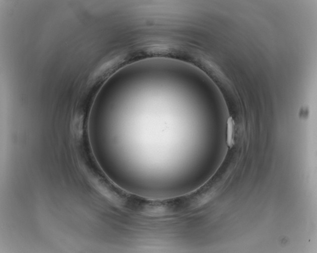 X0000091920454200709051444