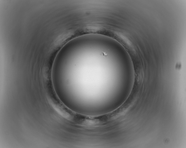 X0000091920455200709051444
