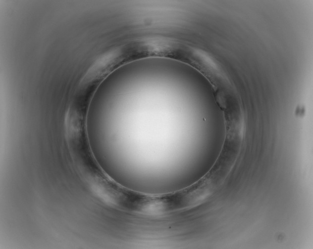 X0000091920456200709051444