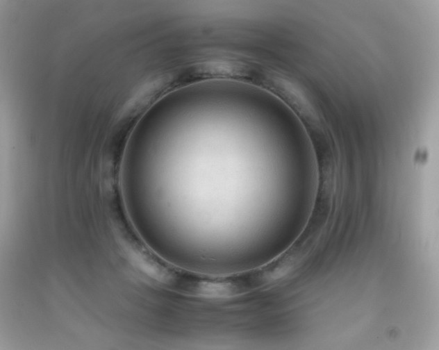 X0000091920457200709051444