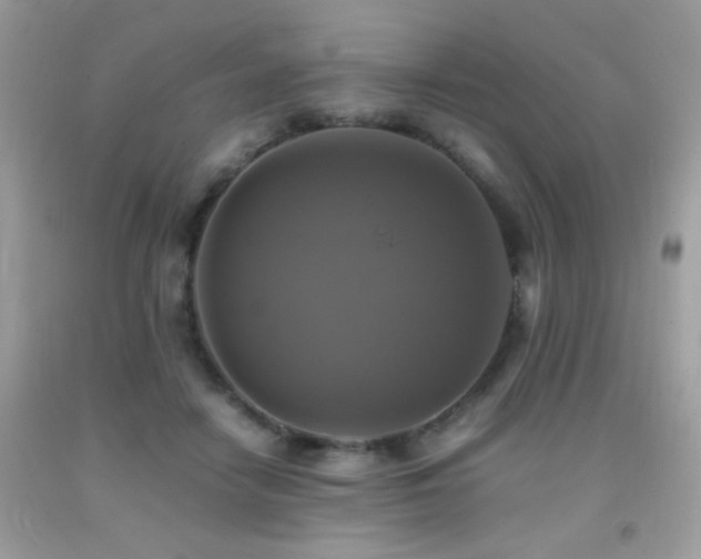X0000091920458200709051444