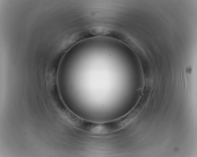 X0000091920460200709051444
