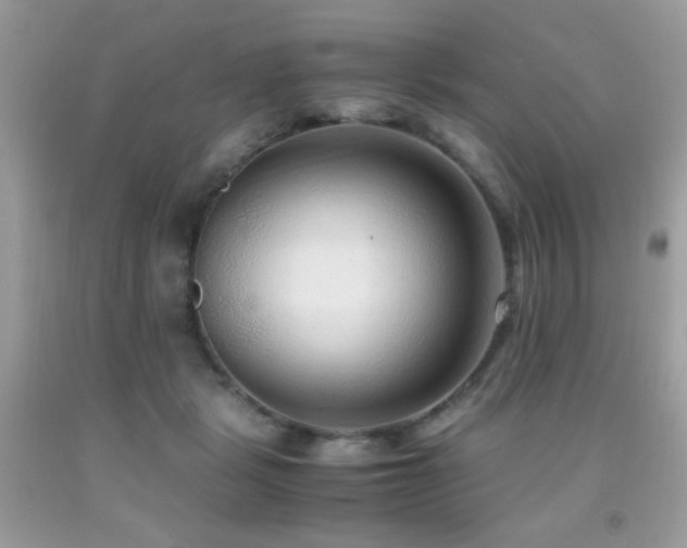 X0000091920461200709051444