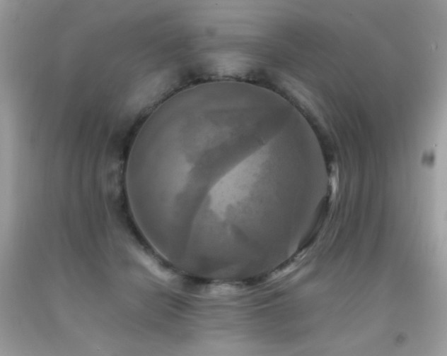 X0000091920462200709051444