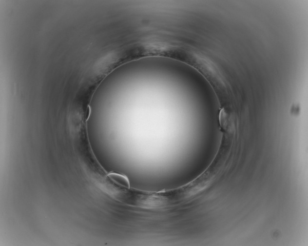 X0000091920463200709051444