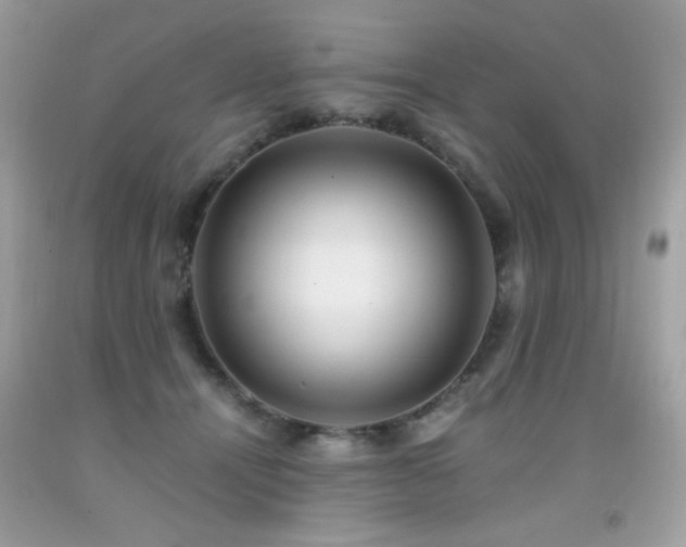 X0000091920464200709051444