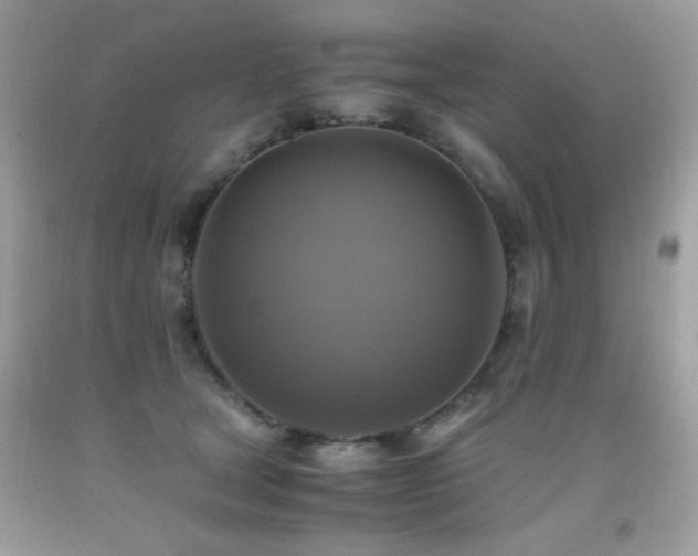 X0000091920465200709051444