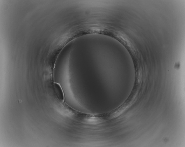 X0000091920467200709051444