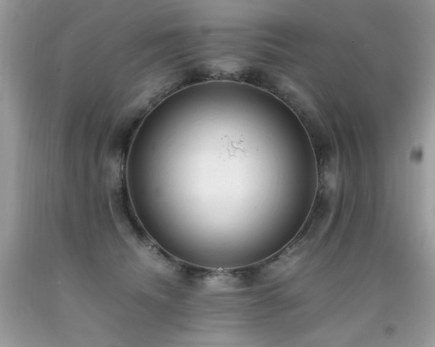X0000091920468200709051444