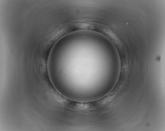 X0000091920469200709051444