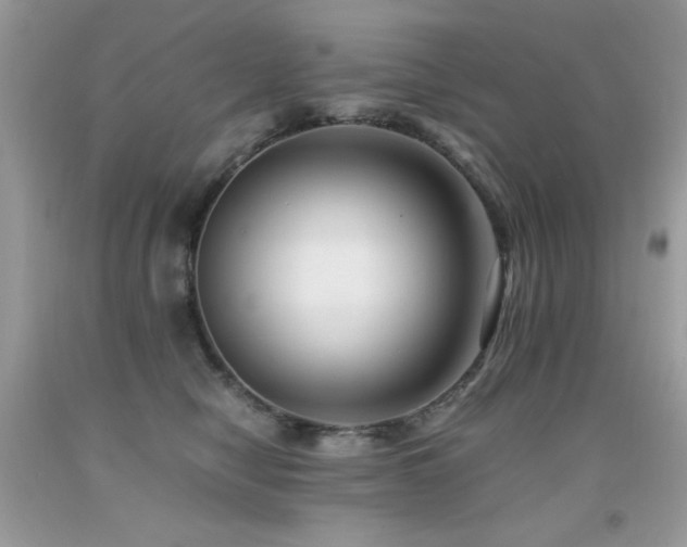 X0000091920470200709051444