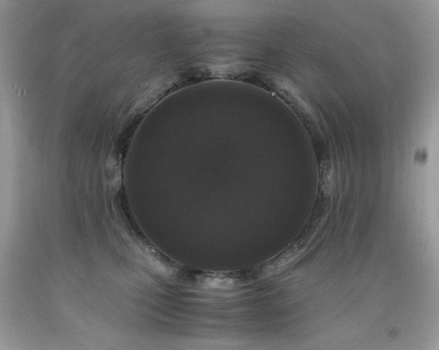 X0000091920471200709051444