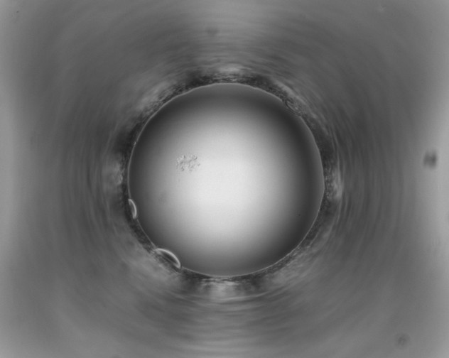 X0000091920472200709051444