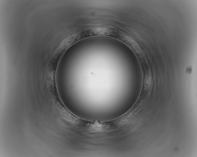 X0000091920473200709051444