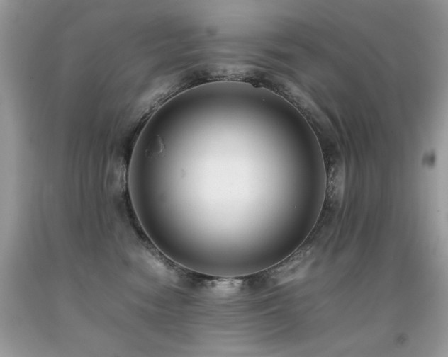 X0000091920474200709051444