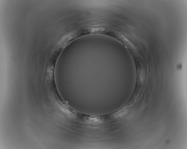 X0000091920475200709051444