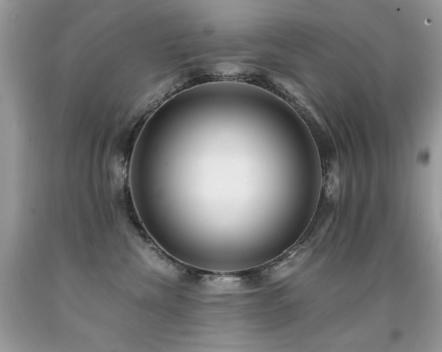 X0000091920476200709051444