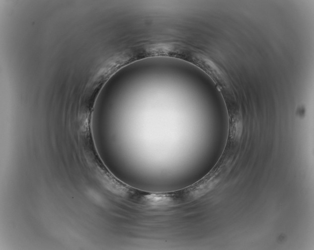 X0000091920477200709051444
