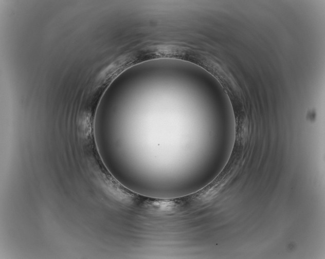 X0000091920478200709051444