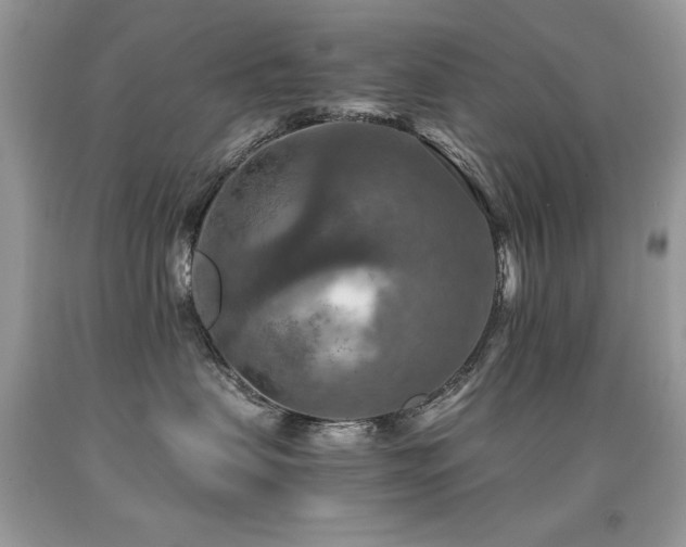 X0000091920479200709051444