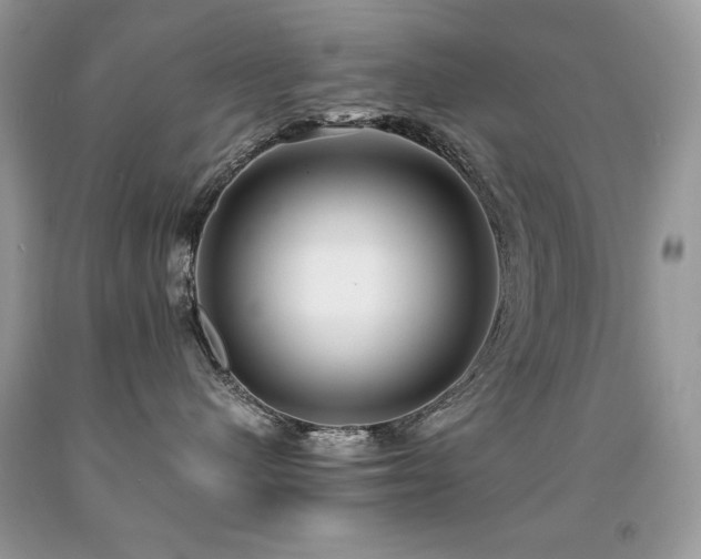 X0000091920480200709051444