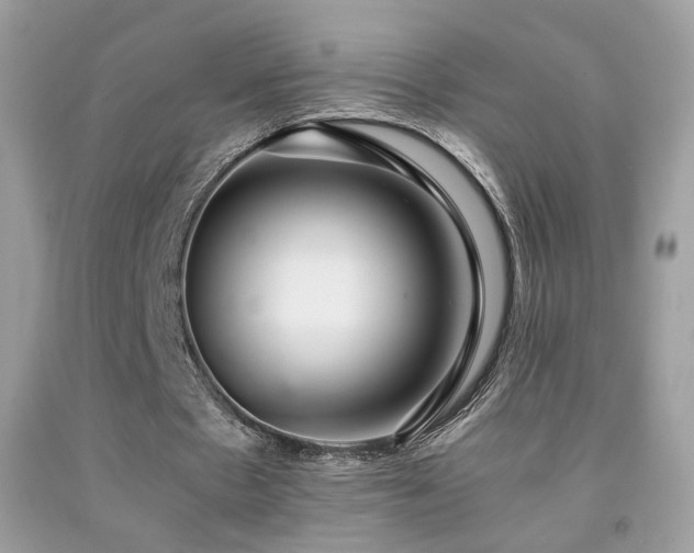 X0000091920481200709051444