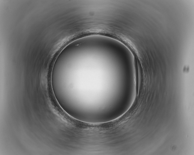 X0000091920482200709051444