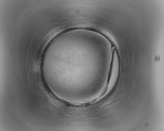 X0000091920483200709051444