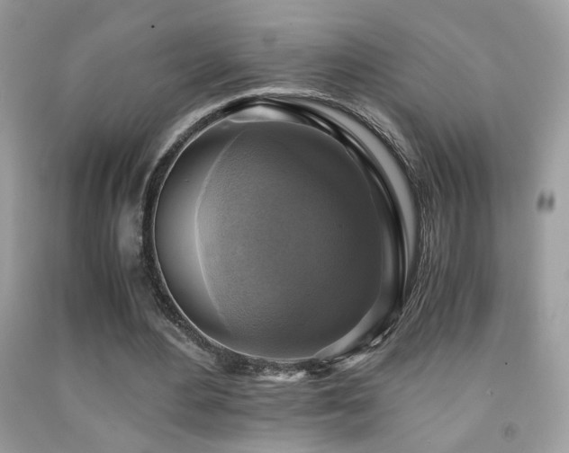 X0000091920484200709051444