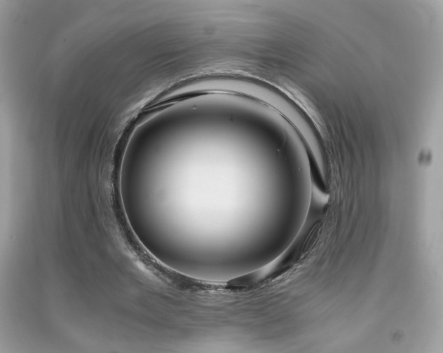 X0000091920485200709051444