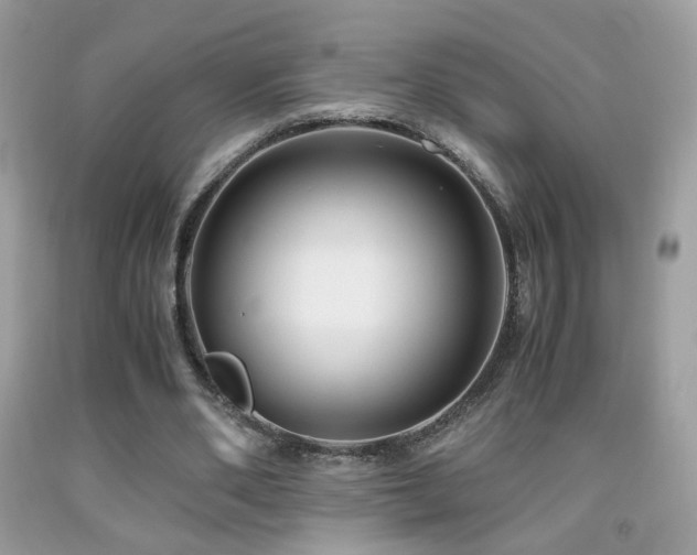X0000091920486200709051443