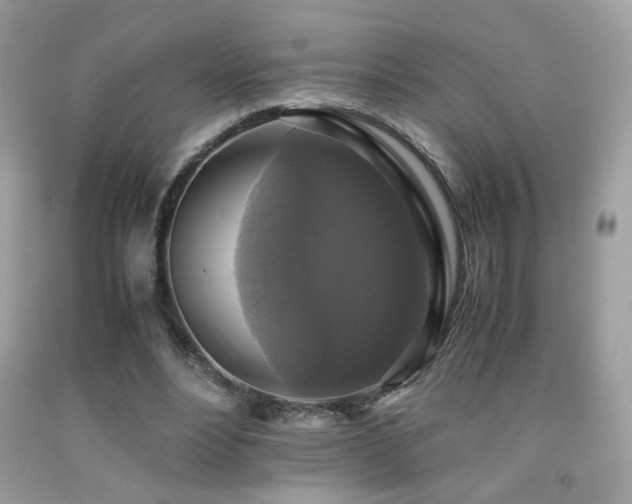X0000091920488200709051443