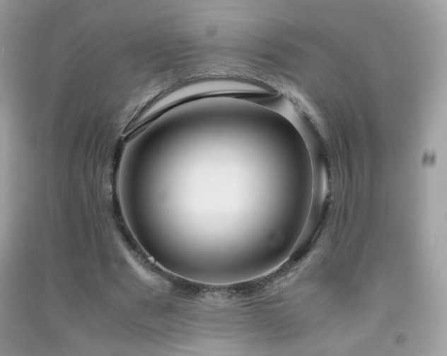 X0000091920489200709051443