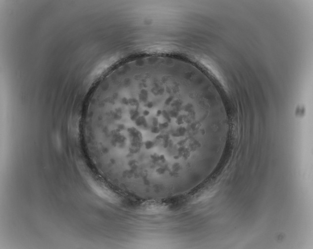 X0000091920491200709051443