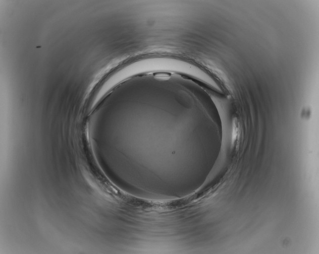 X0000091920492200709051443