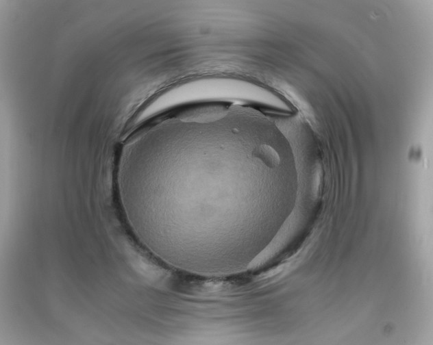X0000091920493200709051443