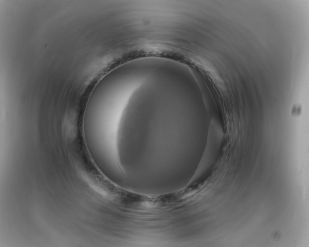 X0000091920496200709051443