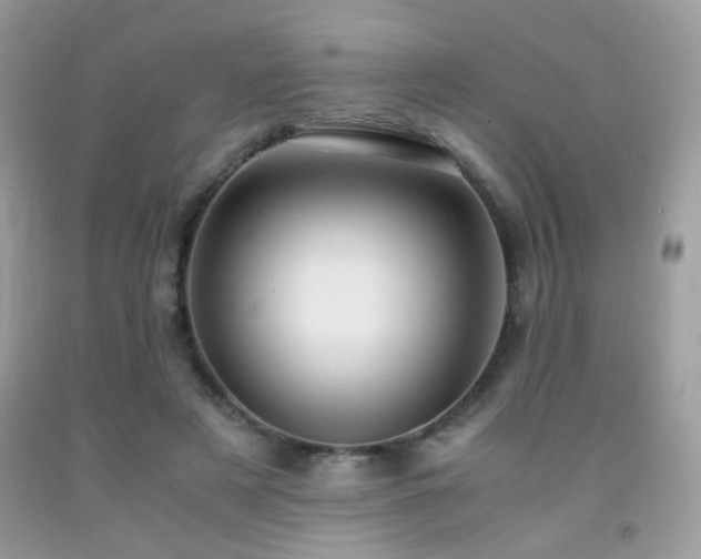 X0000091920497200709051443