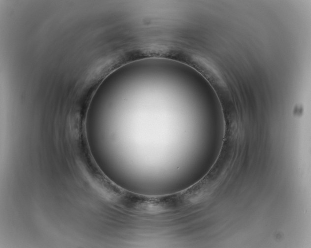X0000091920498200709051443
